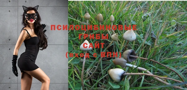 мяу мяу кристалл Алексин