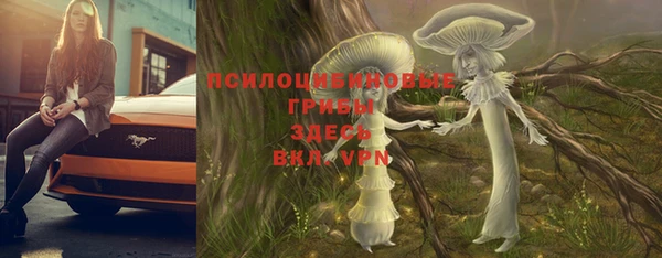 герыч Алексеевка
