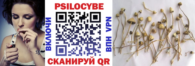 даркнет сайт  Белореченск  Галлюциногенные грибы Magic Shrooms 
