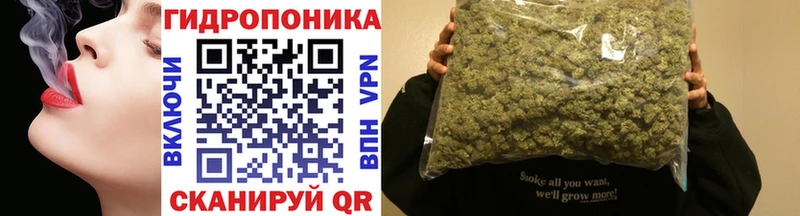 Бошки Шишки OG Kush  дарк нет какой сайт  Белореченск 
